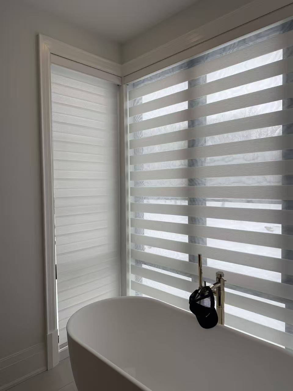 Zebra Blinds 2