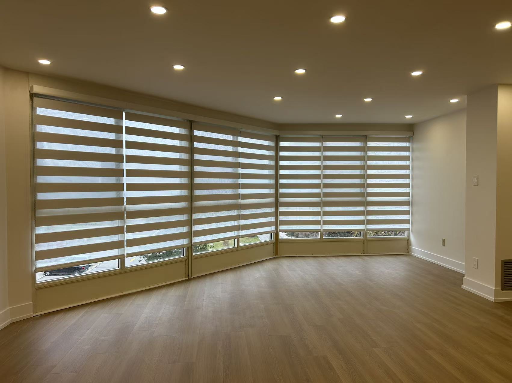 Zebra Blinds 4